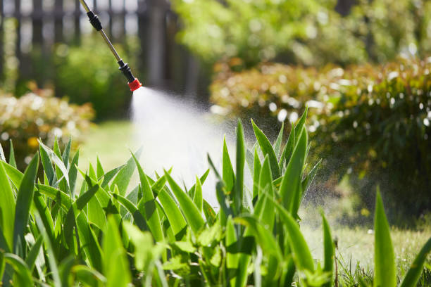 Tamper-Resistant Bait Stations for Rodents in Bellefonte
