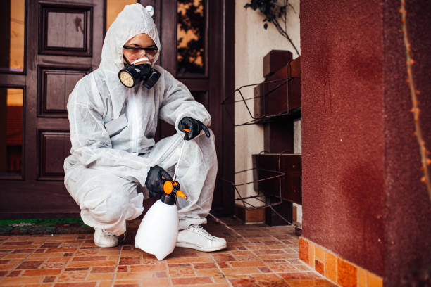 Attic and Crawl Space Rodent Treatment in Bellefonte