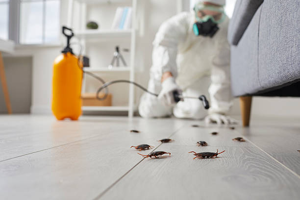 Commercial Rodent Management in Bellefonte